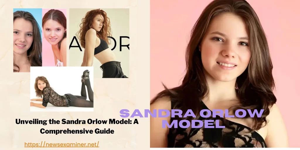 sandra orlow Unveiling the Sandra Orlow Model: A Comprehensive Guide - The News Examiner